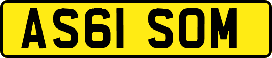 AS61SOM
