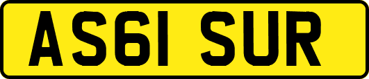 AS61SUR