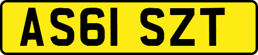 AS61SZT
