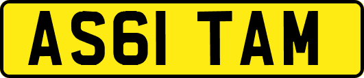 AS61TAM