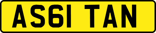 AS61TAN