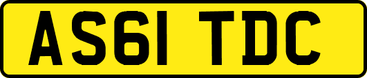 AS61TDC