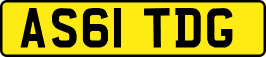 AS61TDG