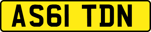 AS61TDN