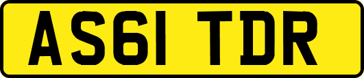 AS61TDR