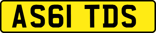 AS61TDS