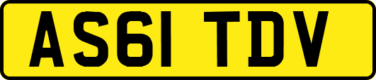 AS61TDV