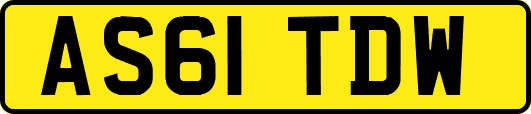 AS61TDW