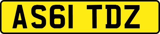 AS61TDZ