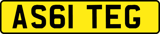 AS61TEG