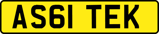AS61TEK
