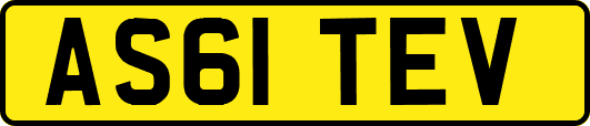 AS61TEV