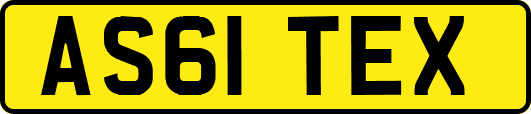 AS61TEX