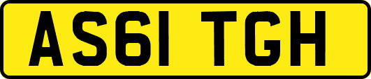 AS61TGH