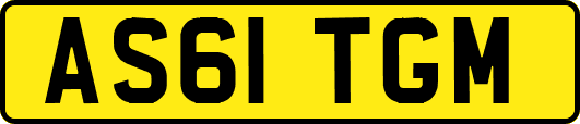 AS61TGM