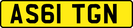AS61TGN
