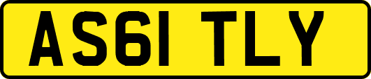 AS61TLY