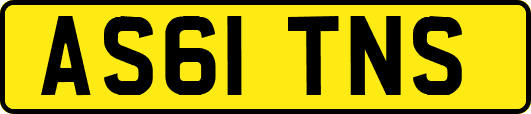 AS61TNS