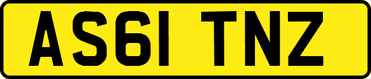 AS61TNZ