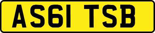 AS61TSB