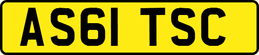 AS61TSC