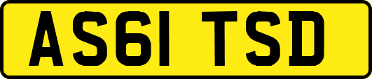 AS61TSD