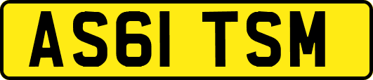 AS61TSM