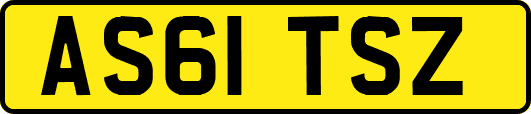 AS61TSZ