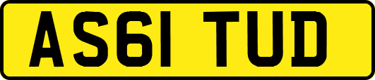 AS61TUD