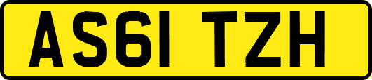 AS61TZH