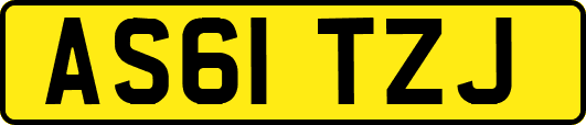 AS61TZJ