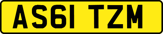 AS61TZM
