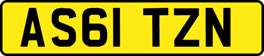 AS61TZN
