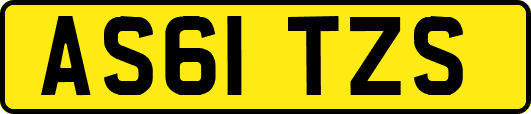 AS61TZS