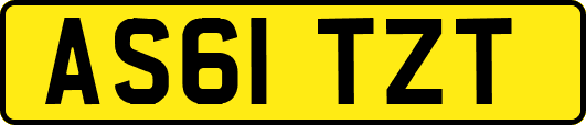 AS61TZT