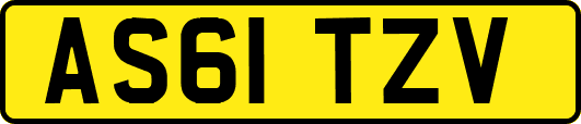 AS61TZV