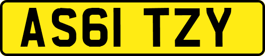 AS61TZY