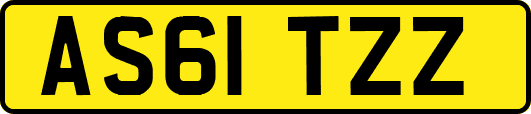 AS61TZZ