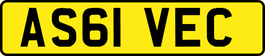AS61VEC