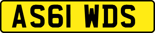 AS61WDS