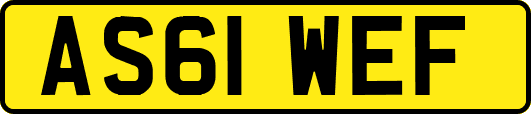 AS61WEF
