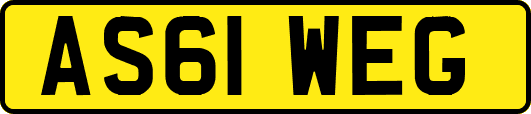 AS61WEG