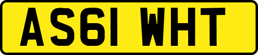AS61WHT