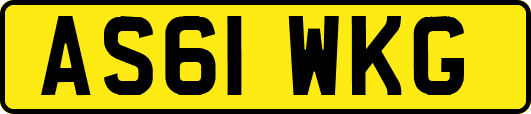 AS61WKG