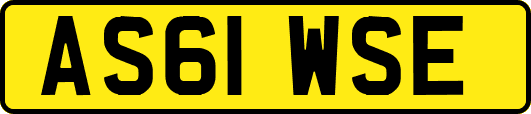 AS61WSE