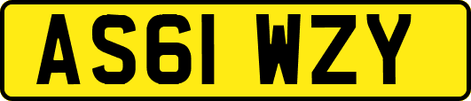 AS61WZY