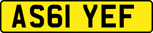 AS61YEF