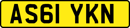 AS61YKN