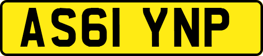 AS61YNP