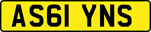 AS61YNS